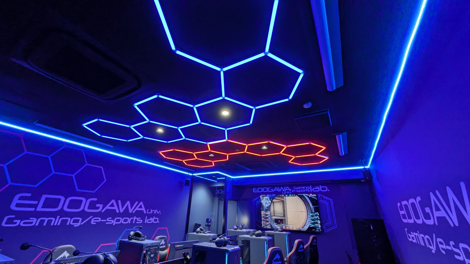 学校法人江戸川学園 江戸川大学 駒木キャンパス